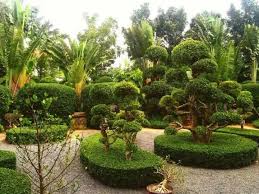 贝博艾佛森 常州城市绿化管理包含哪些项目