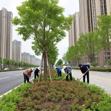 BB贝博艾弗森官网 桐城市政绿化公司属于什么行业